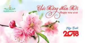 Chúc mừng năm mới