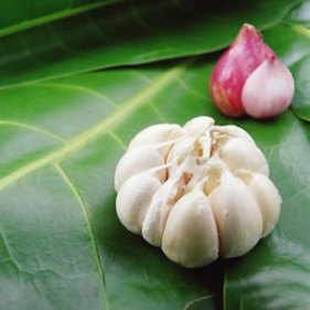 Thực phẩm tăng cường sức đề kháng